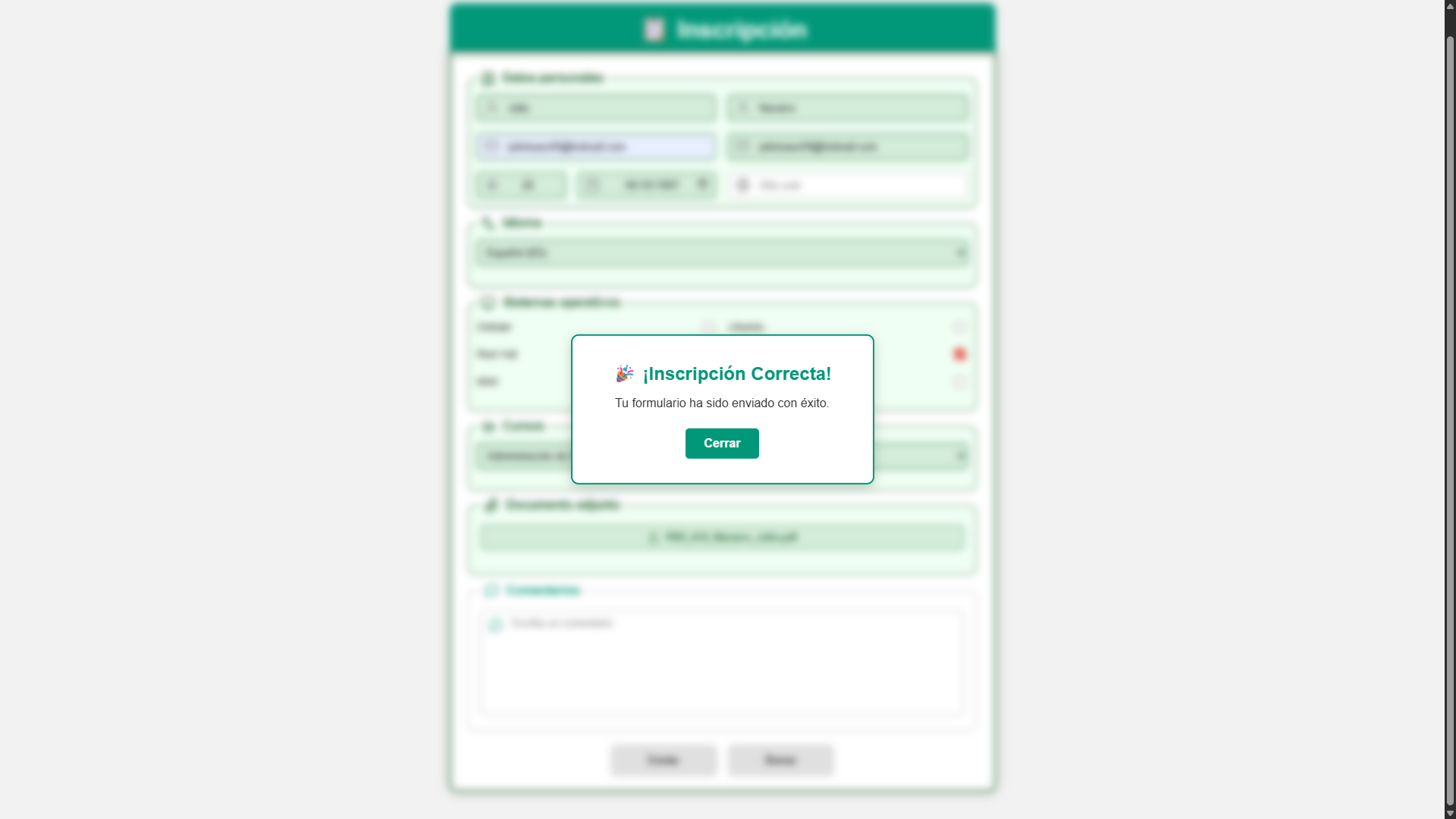 Estructura responsiva y feedback visual